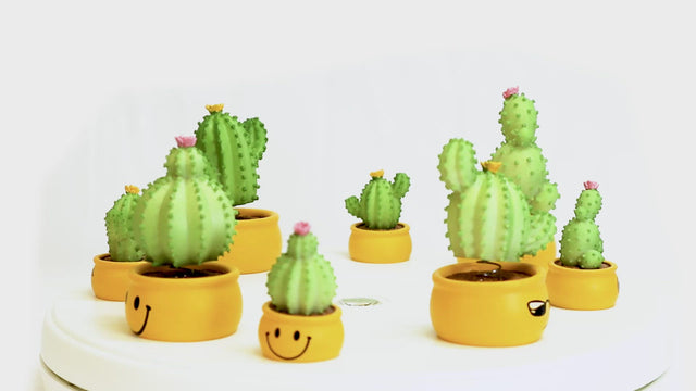 Cactus